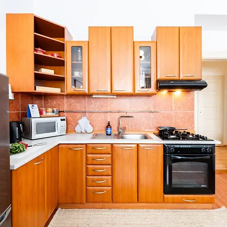 Days - One-bedroom With Tv, Netflix And High-speed Wi-fi In Vinohrady Praga