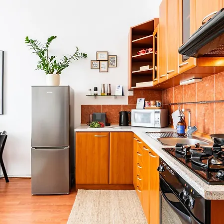 דירה Days - One-bedroom With Smart Tv And High-speed Wi-fi In Vinohrady *